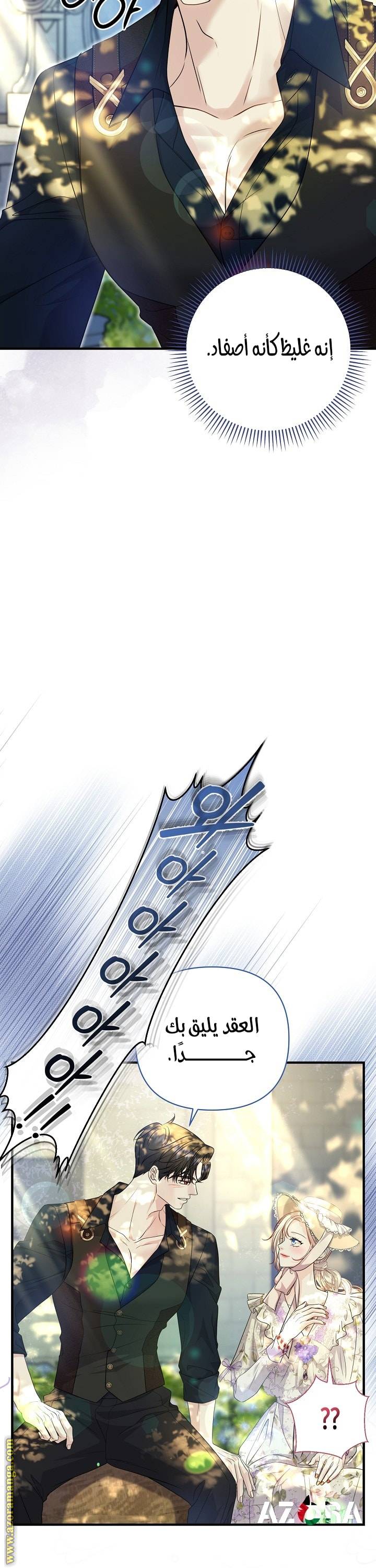 الصفحة 13