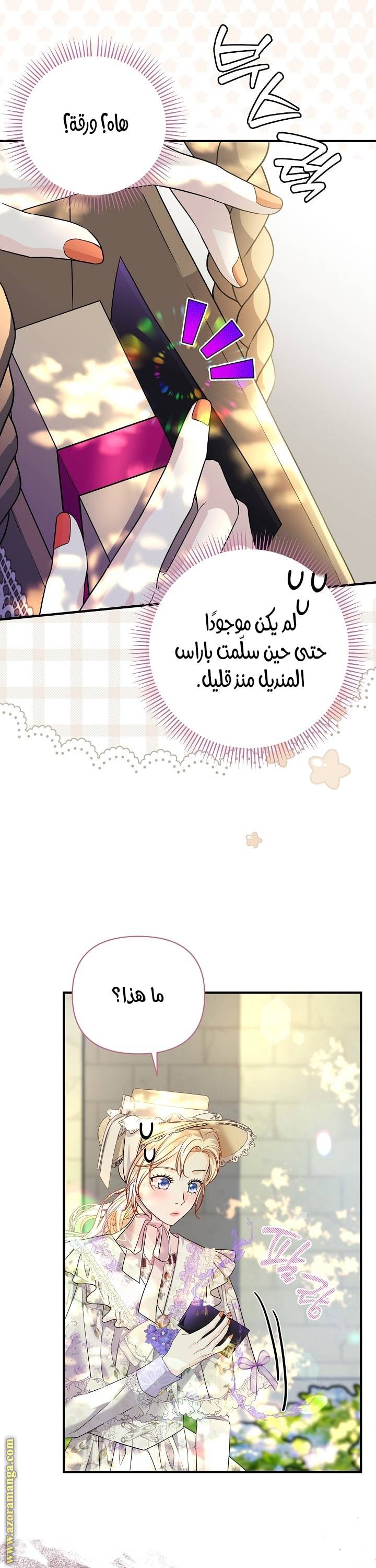 الصفحة 17