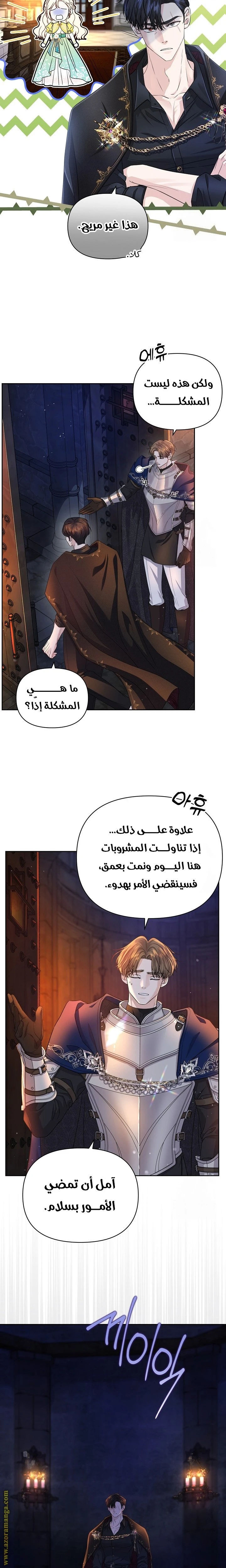 الصفحة 12