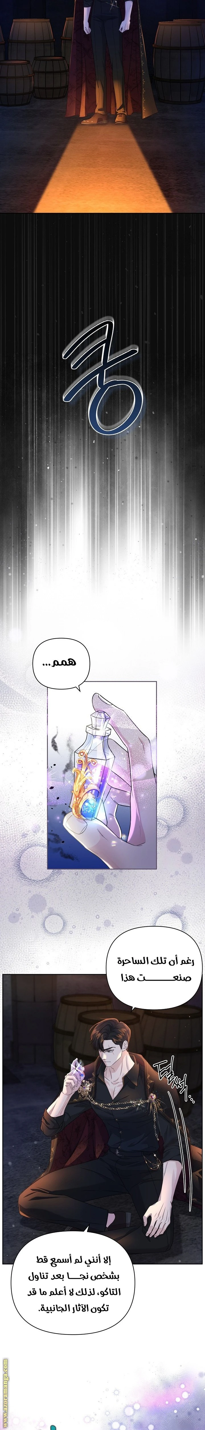 الصفحة 13