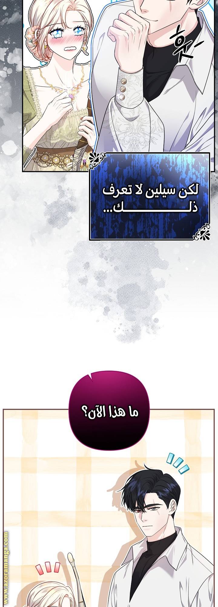 الصفحة 12