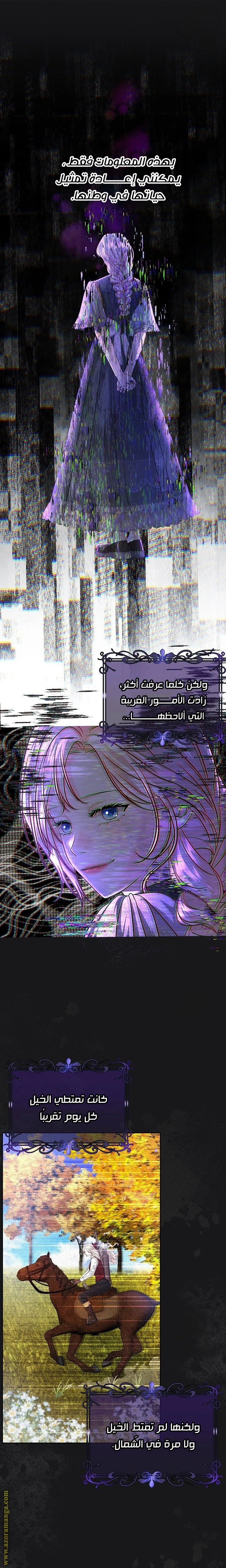 الصفحة 17