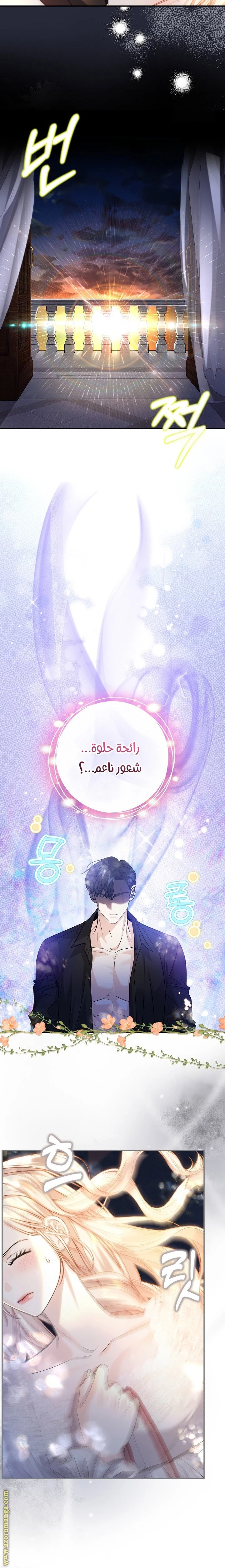 الصفحة 20
