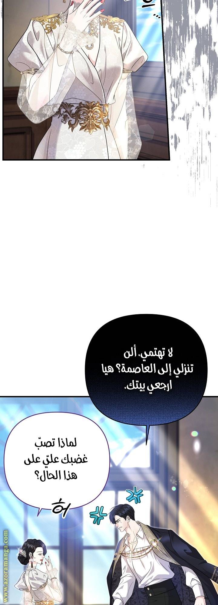 الصفحة 27