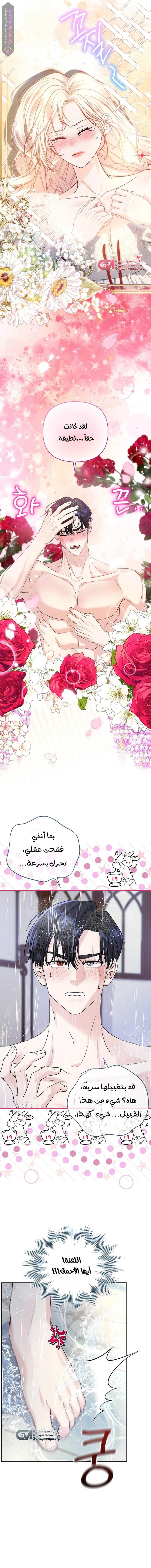 الصفحة 11