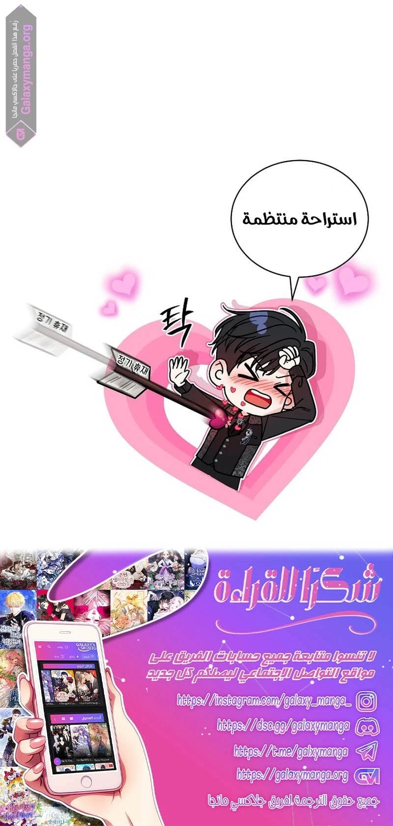 الصفحة 17