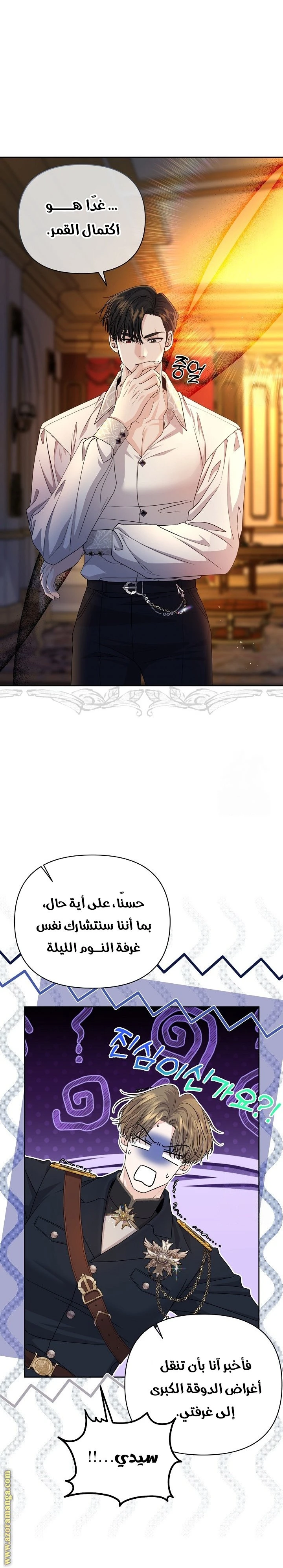 الصفحة 17