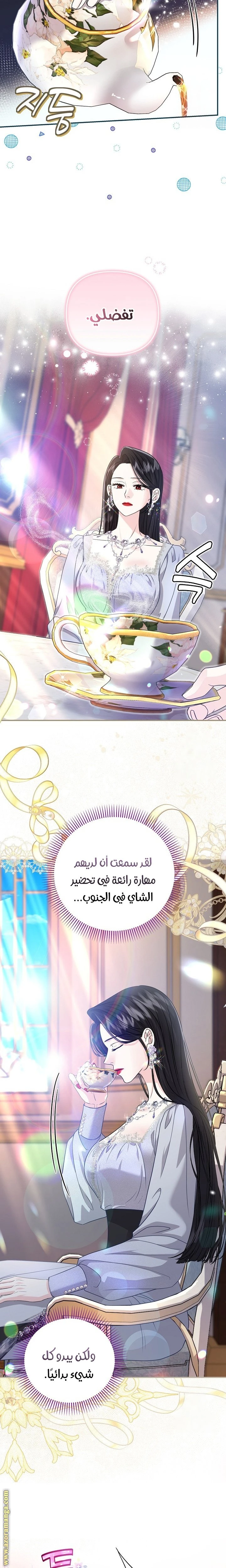 الصفحة 21