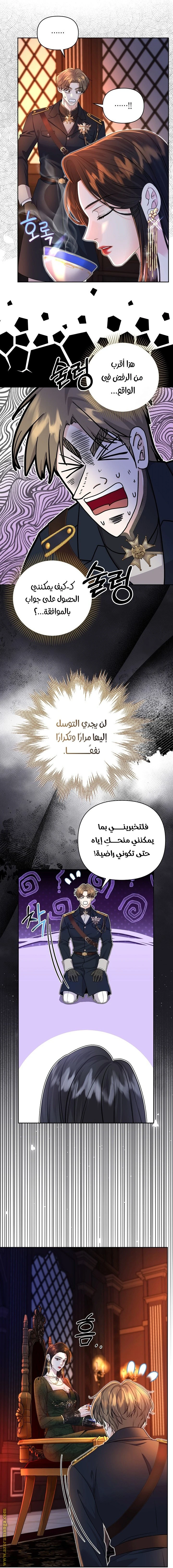 الصفحة 19
