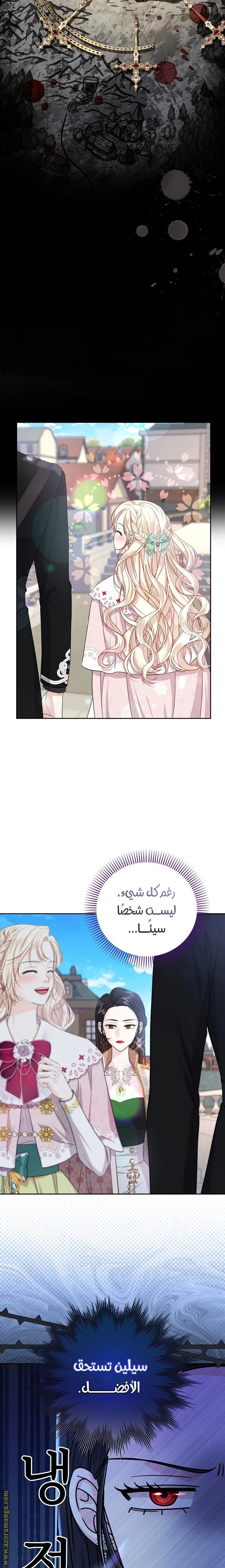 الصفحة 17