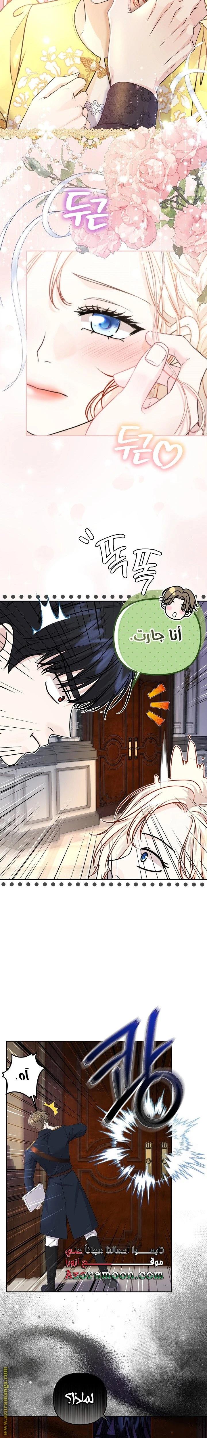الصفحة 11