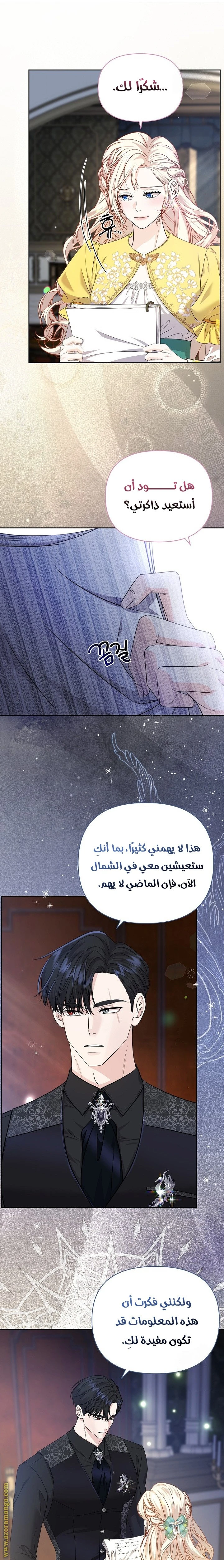 الصفحة 17