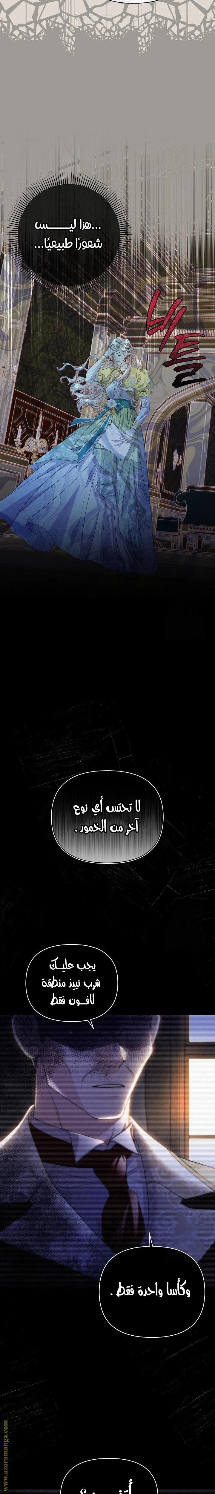 الصفحة 21