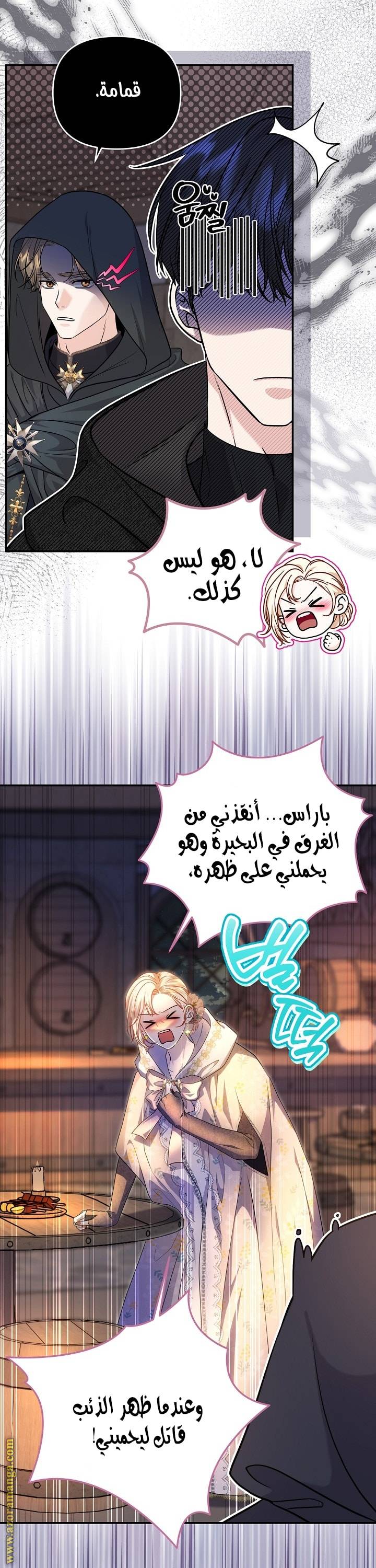 الصفحة 14
