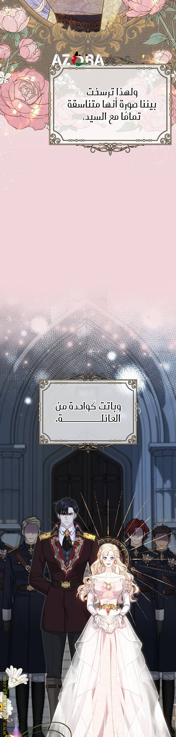 الصفحة 17