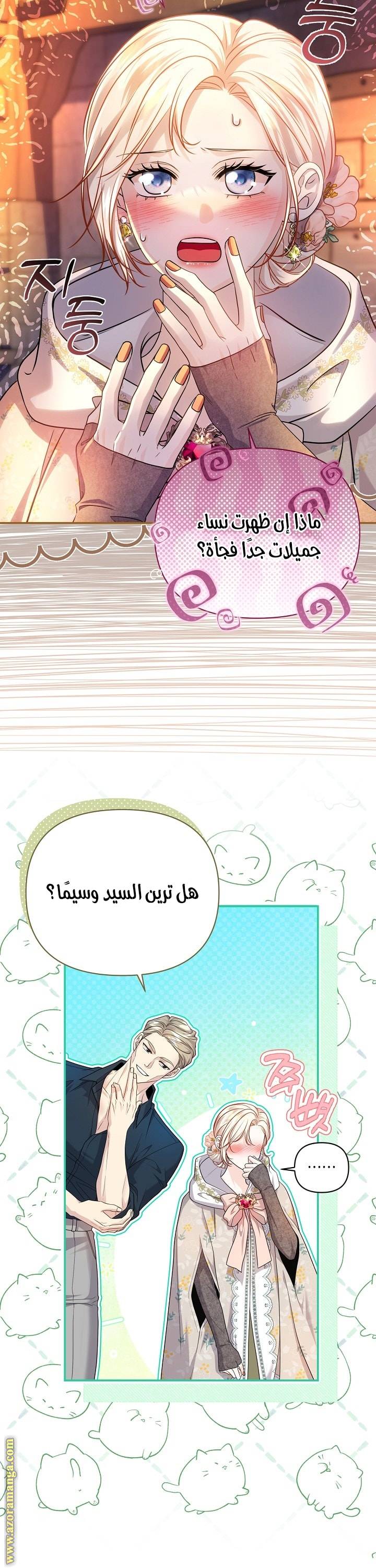 الصفحة 19