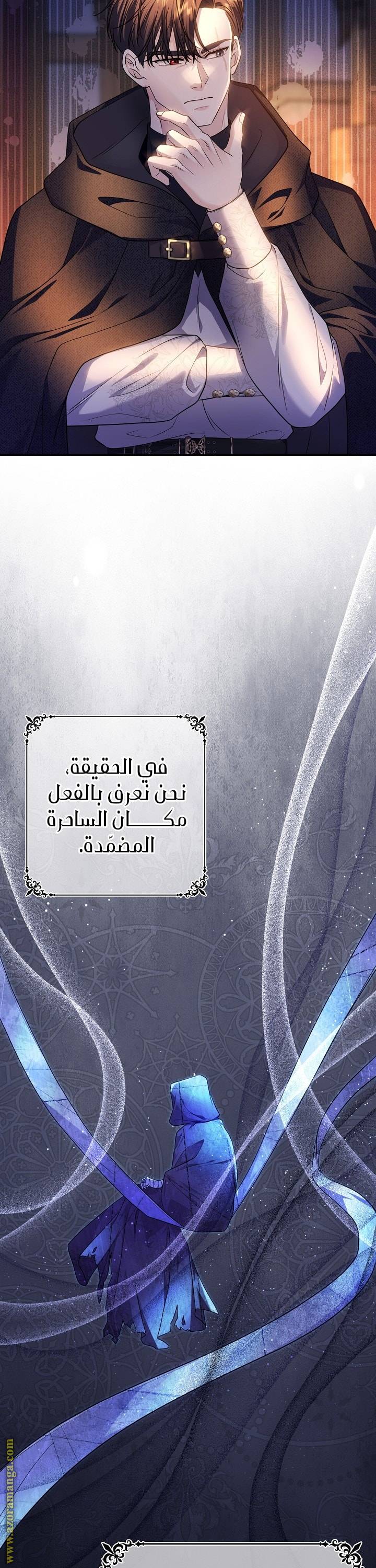 الصفحة 25