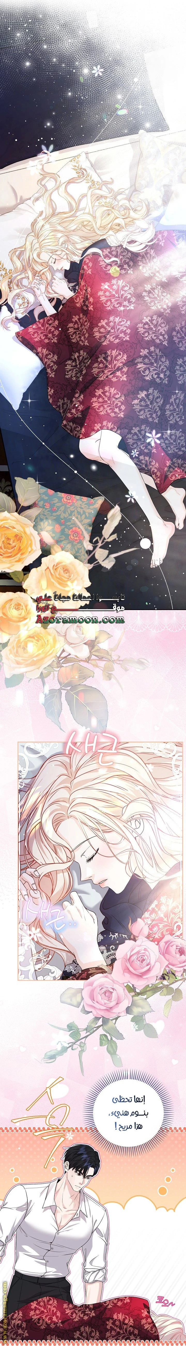 الصفحة 17