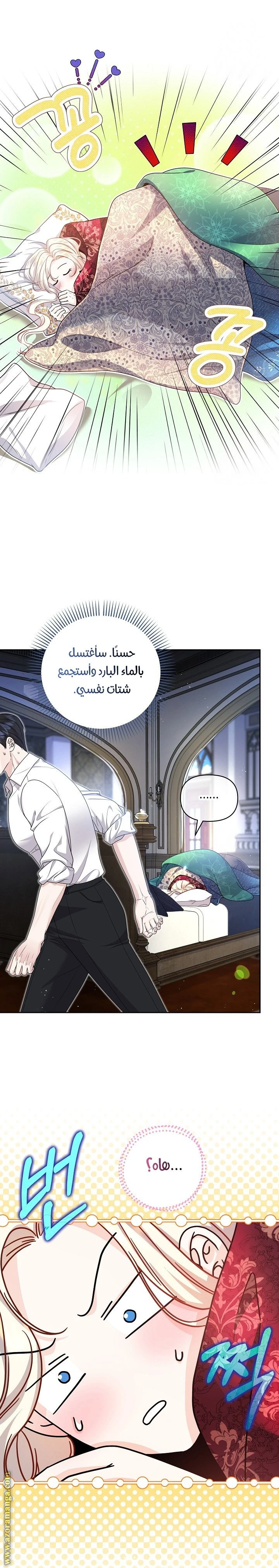 الصفحة 20