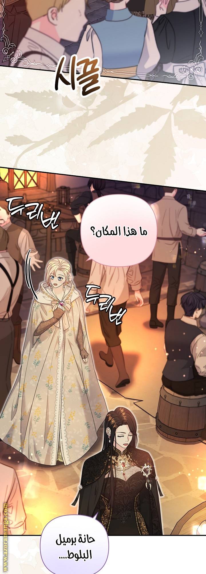 الصفحة 17