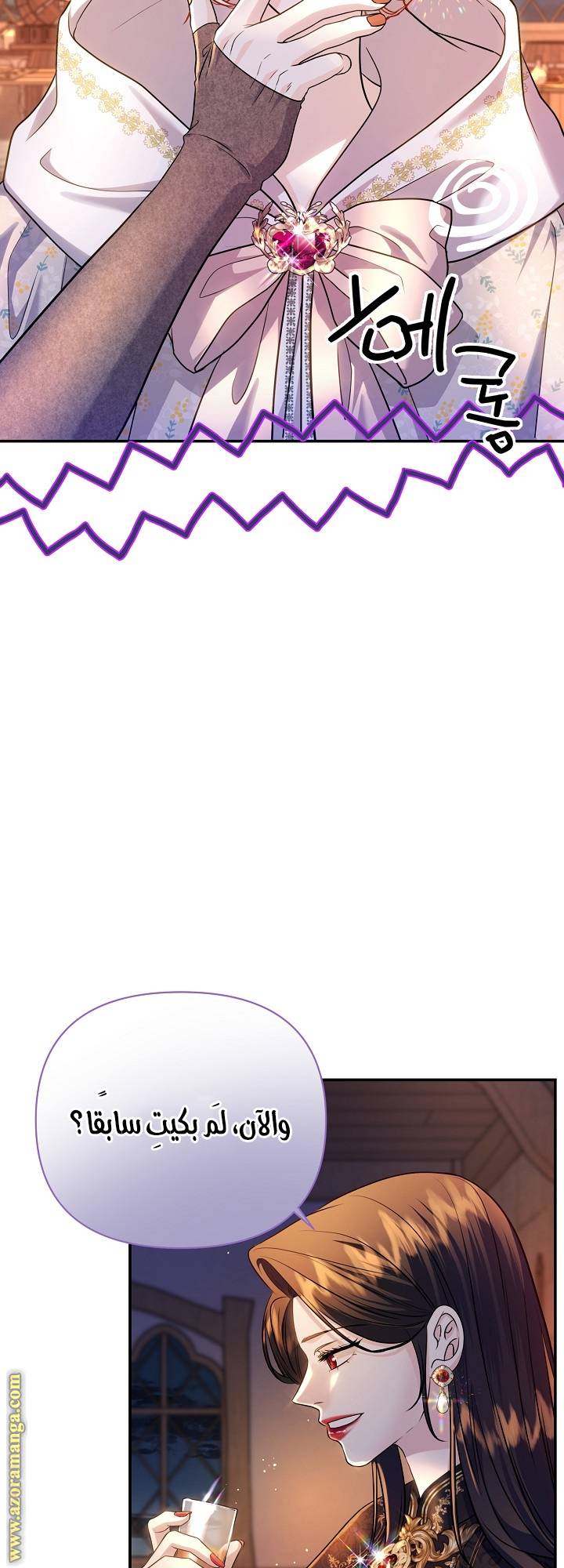 الصفحة 27