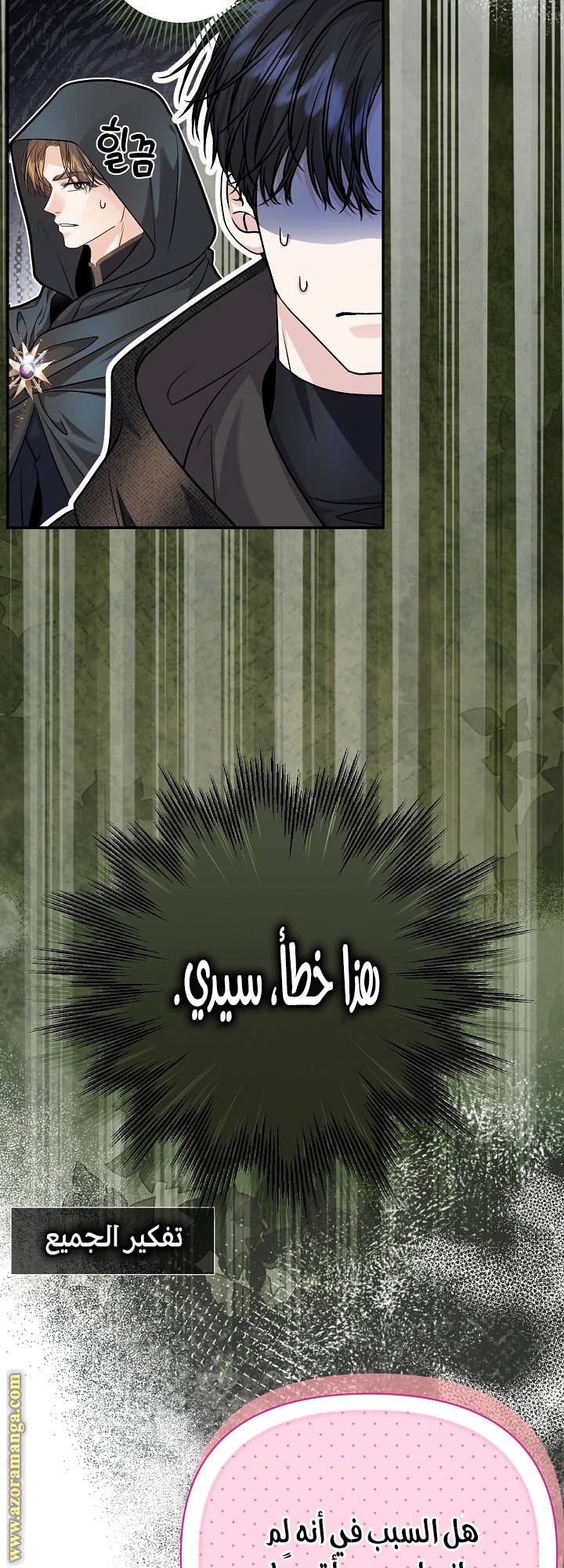 الصفحة 52