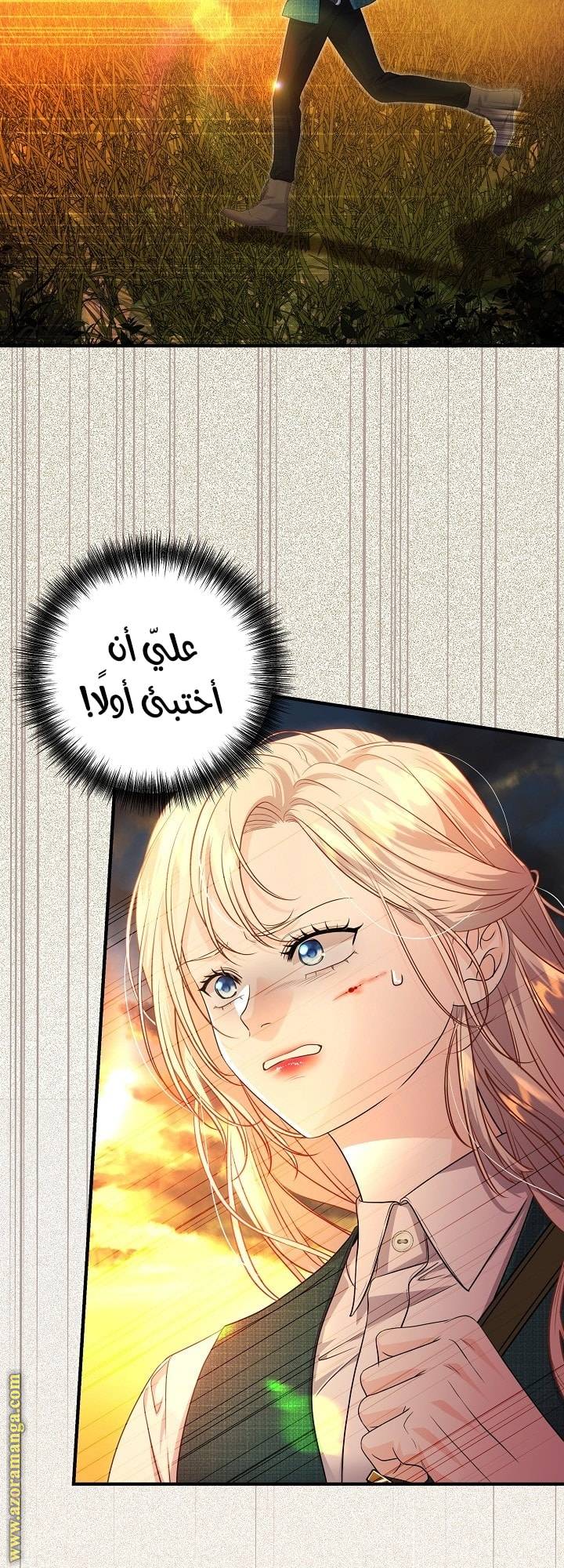 الصفحة 17