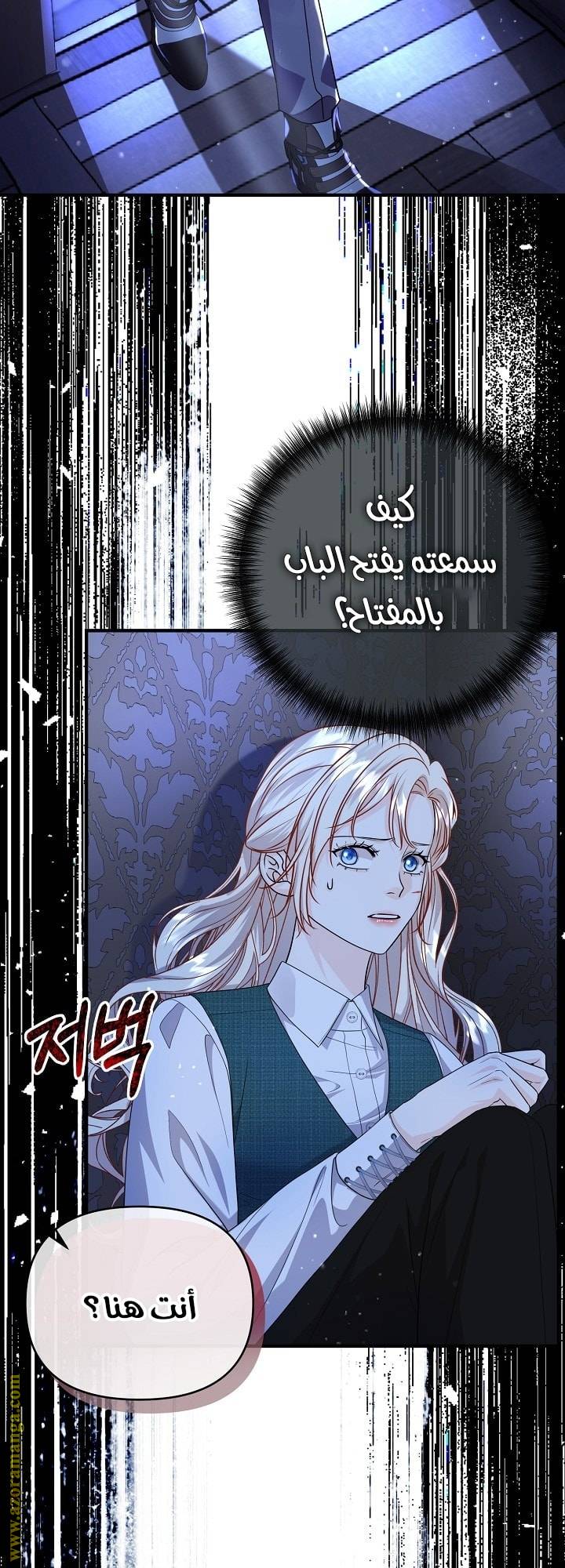 الصفحة 25