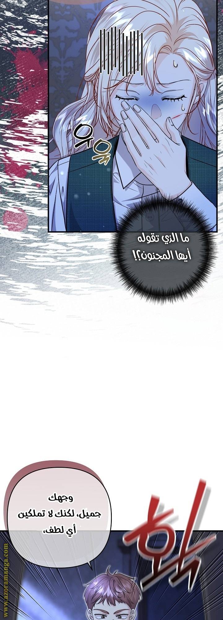 الصفحة 27