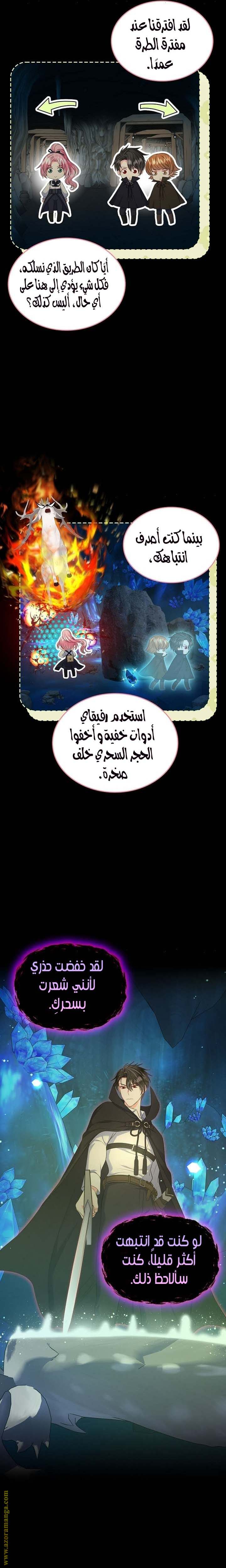 الصفحة 13