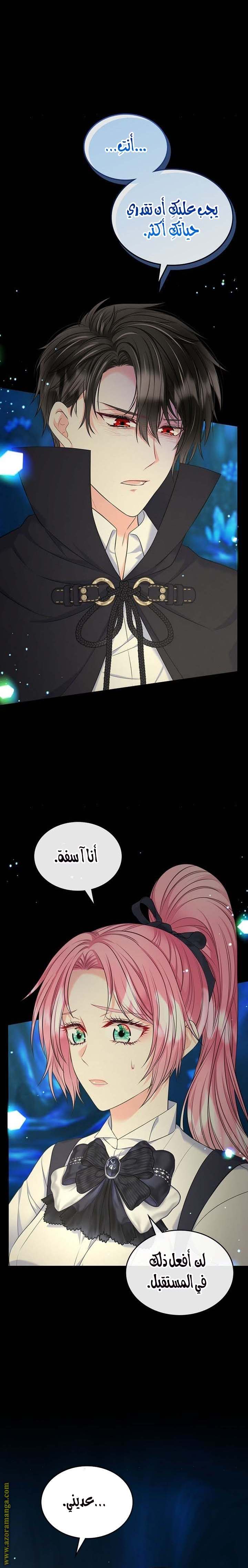 الصفحة 17