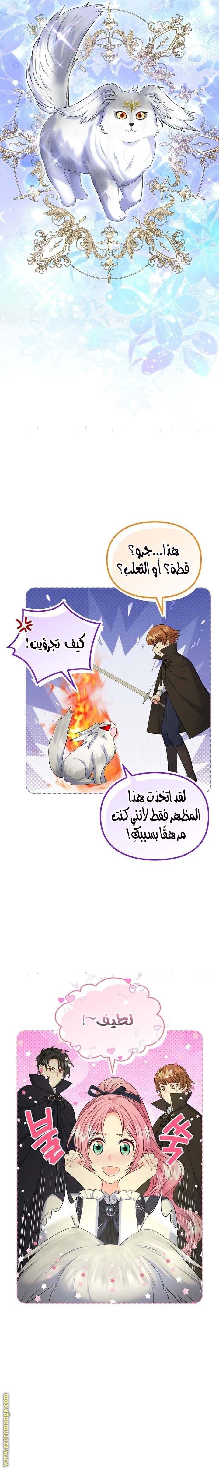 الصفحة 22