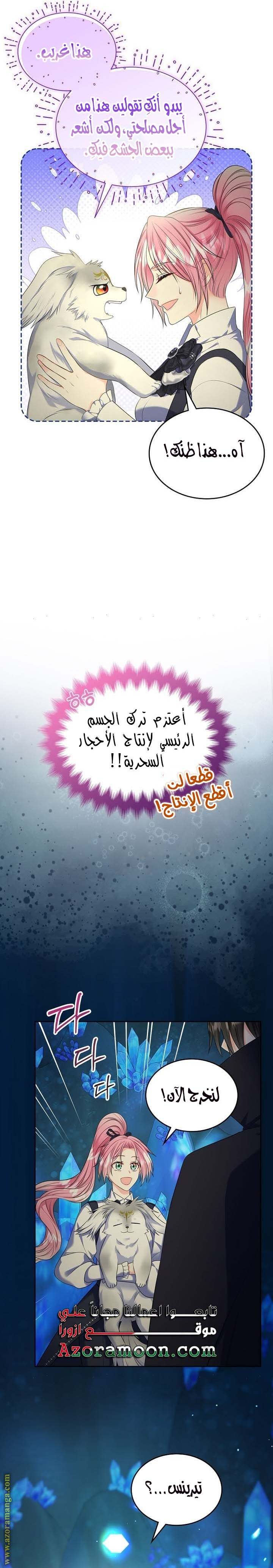 الصفحة 24