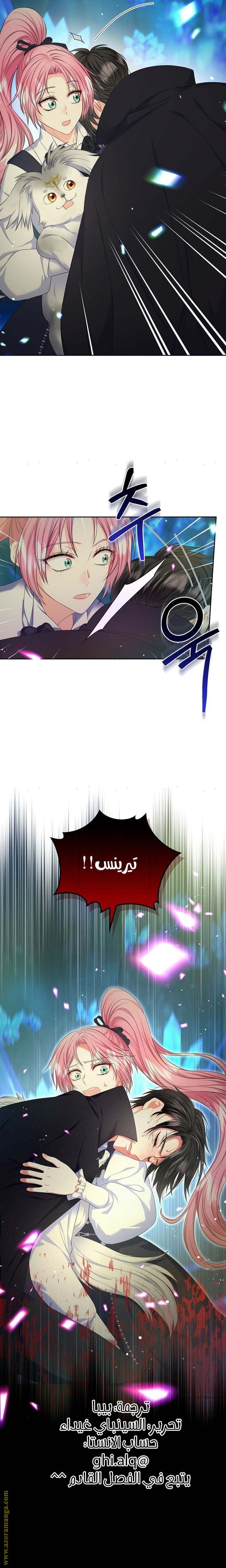 الصفحة 25