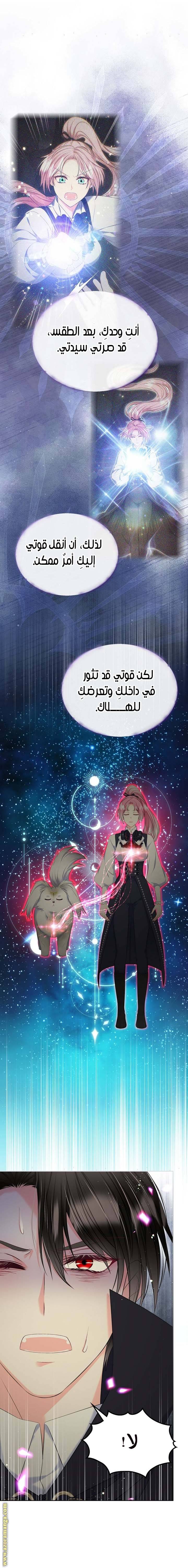 الصفحة 17