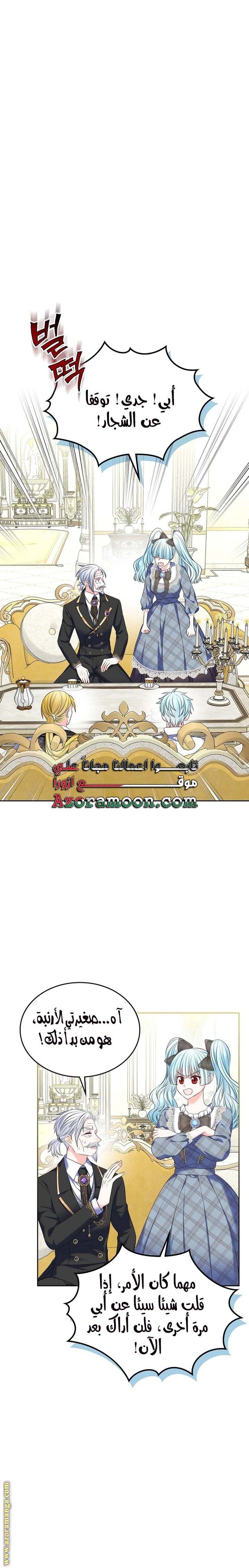 الصفحة 17