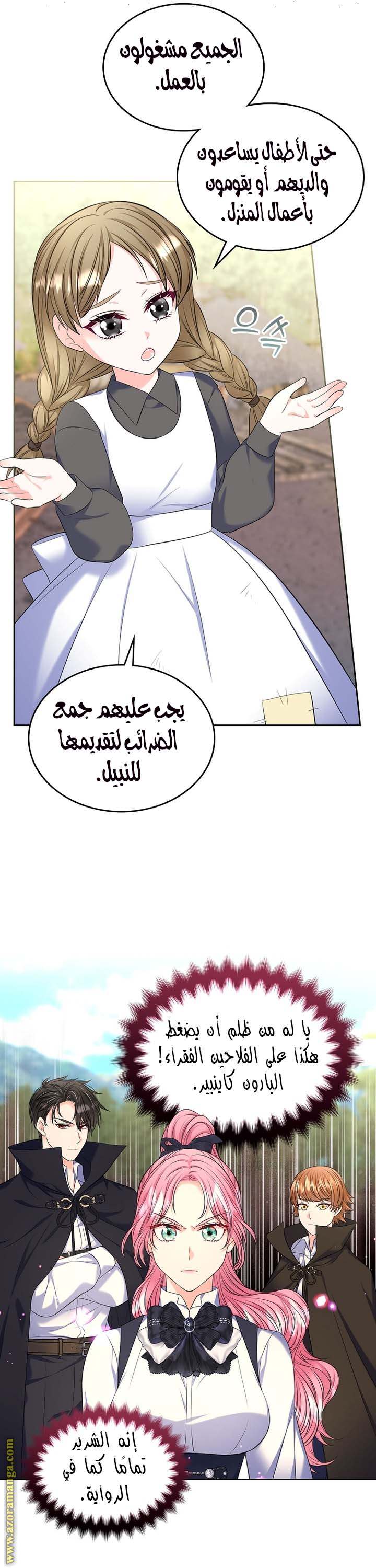 الصفحة 17