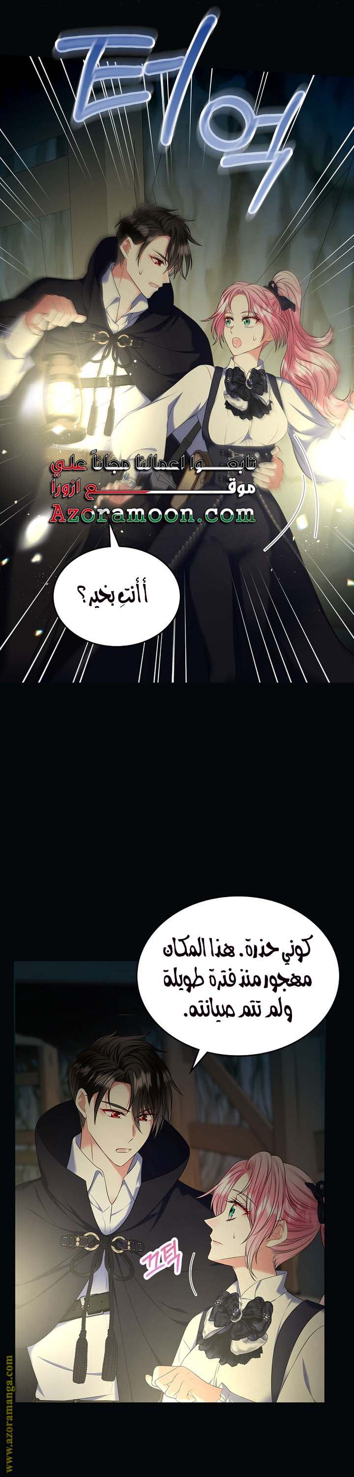 الصفحة 25