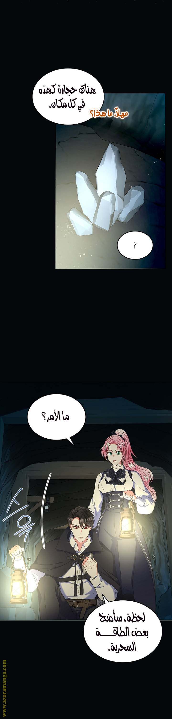 الصفحة 26