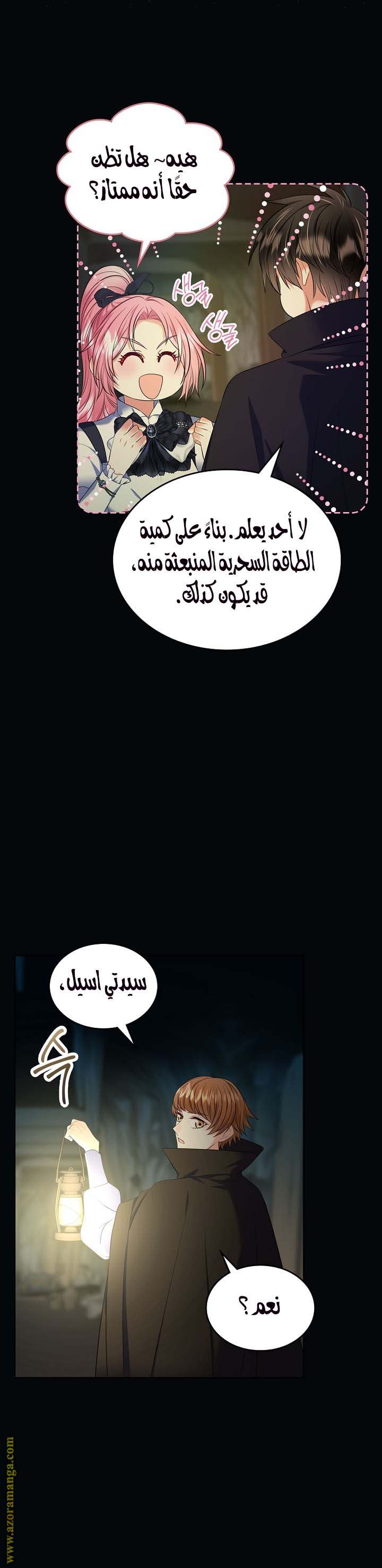 الصفحة 31