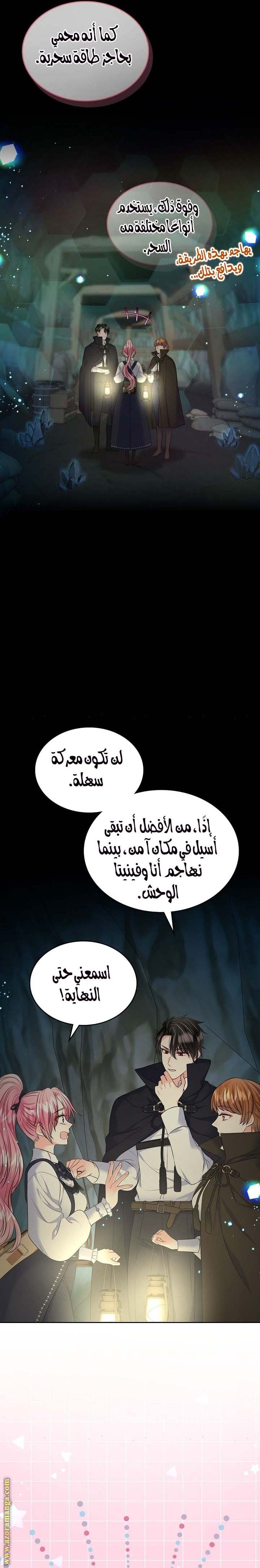 الصفحة 17