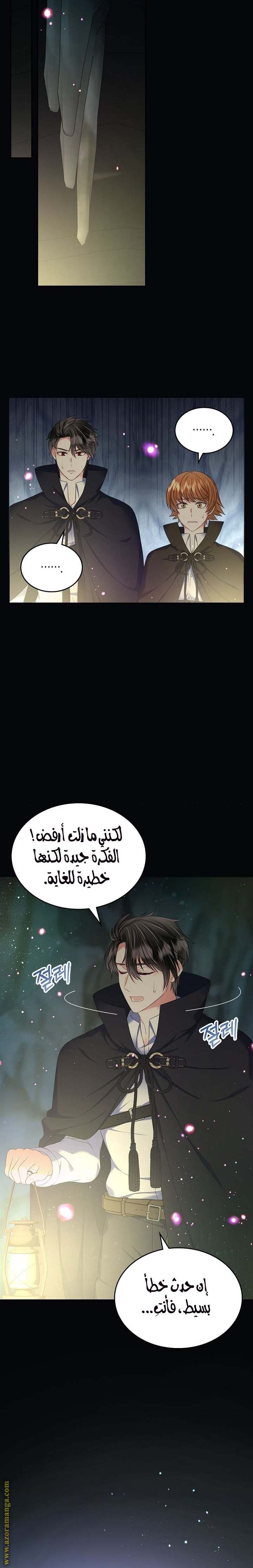 الصفحة 21