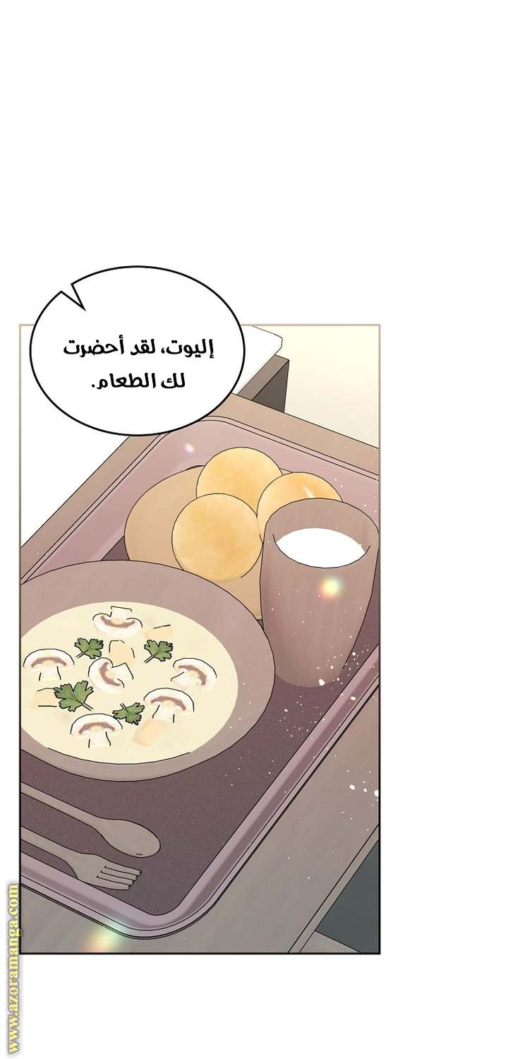 الصفحة 19