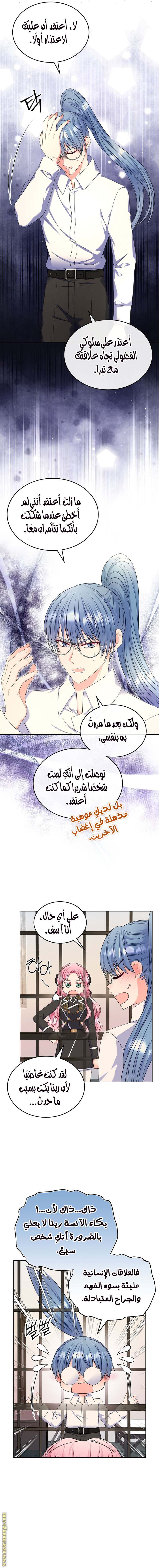 الصفحة 13