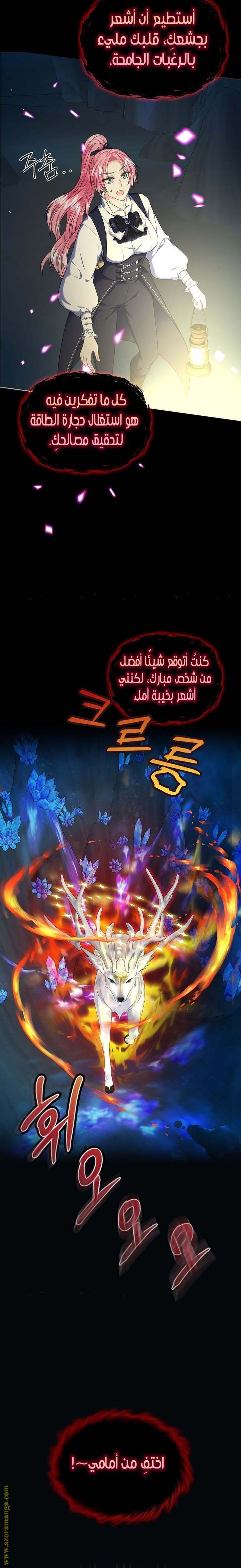 الصفحة 15