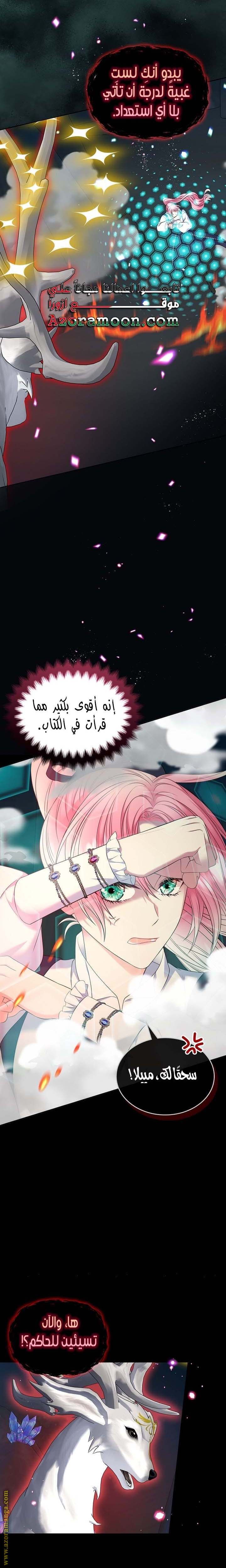 الصفحة 17
