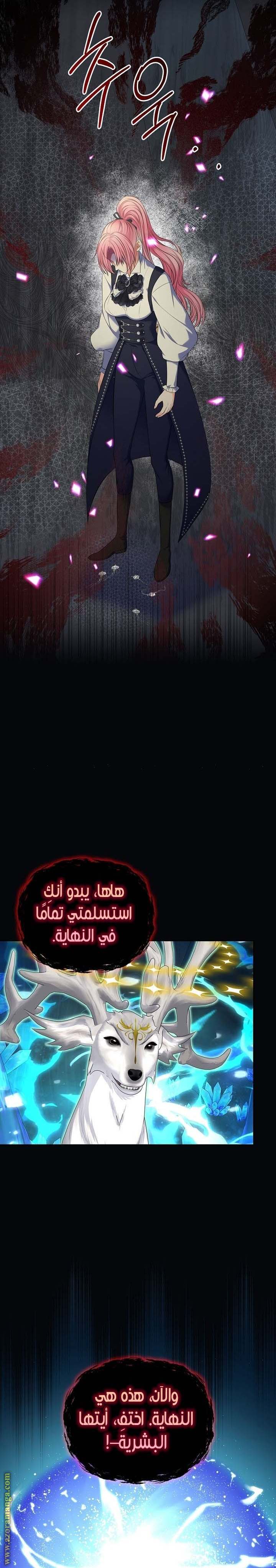 الصفحة 25