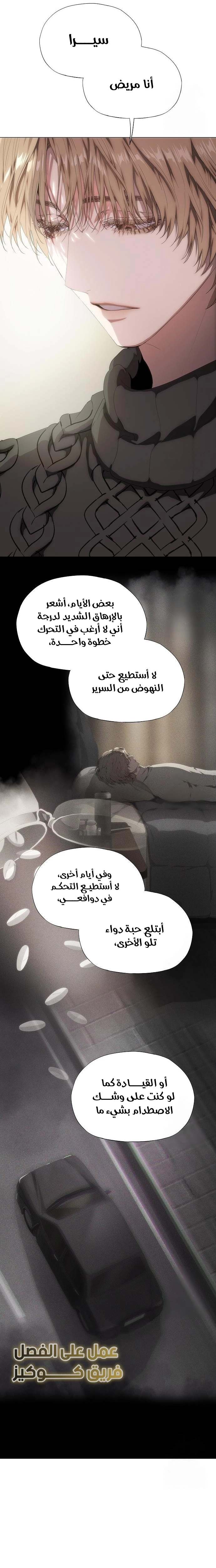 الصفحة 17
