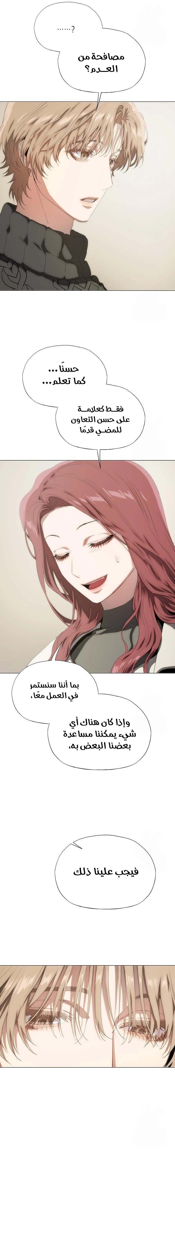 الصفحة 29