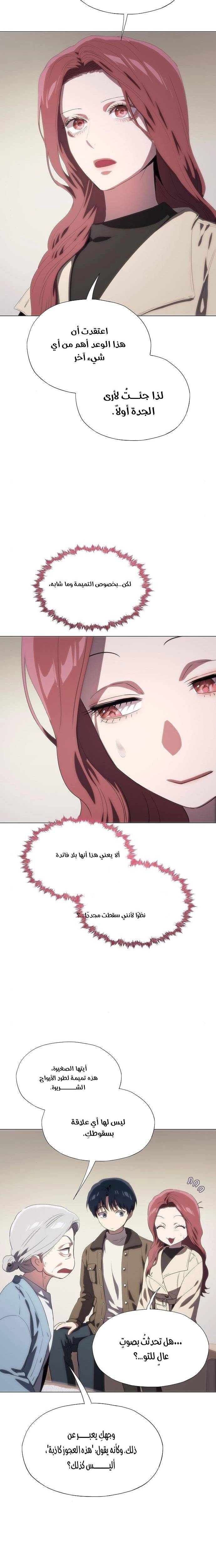 الصفحة 14